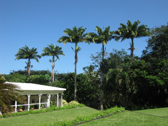 張貼日期：2009/2/12