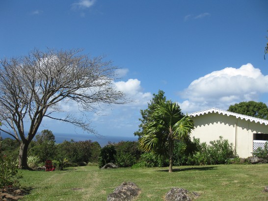 張貼日期：2009/7/14