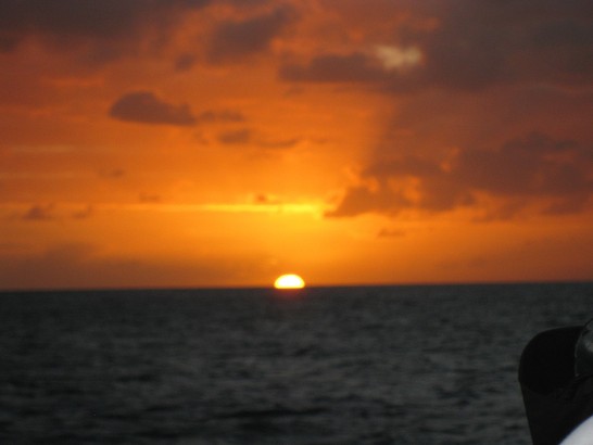 張貼日期：2009/7/14