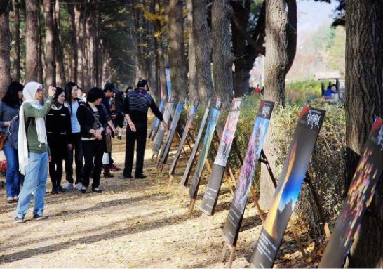 綺麗台灣照片吸引不少民眾駐足欣賞