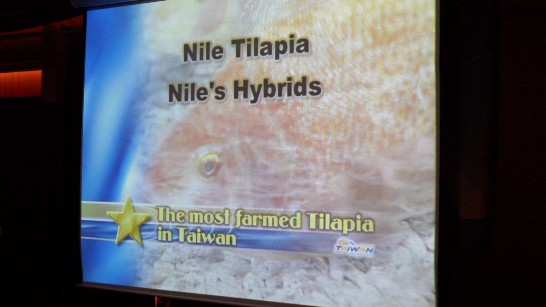 張貼日期：2013/11/25