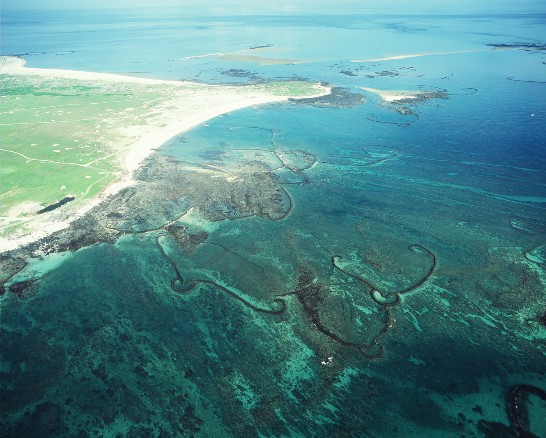 펑후(澎湖）어민들은 조수 시간대에 암초를 이용하여 고기를 잡는데 특수하게 돌로 만든 물고기 통발모양을 하고 있다. 