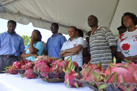 與會農業部推廣官及農民