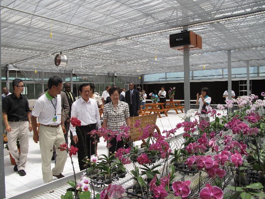 楊進添部長伉儷在周台竹大使及蕭團長一鵬陪同下，視察幽寧農場蘭花溫室設施