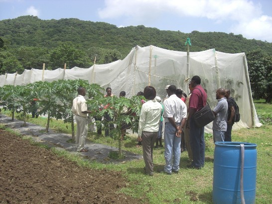 木瓜講習會現場一景