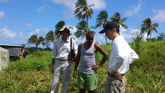 駐聖露西亞大使牟華瑋(右一)偕技術團團長蕭一鵬(左一)視察北部Forestiere地區 Mr. Merphilus James鳳梨農戶