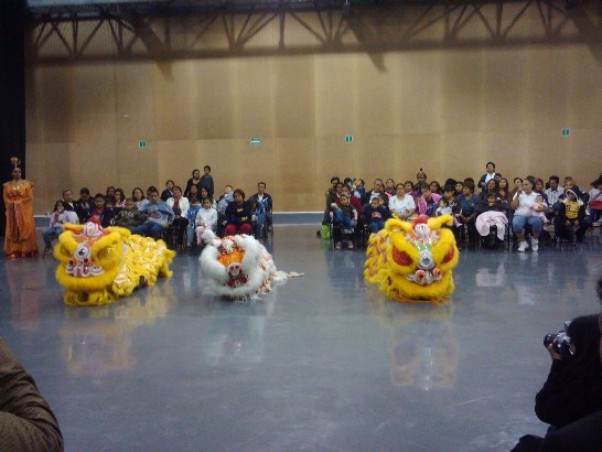 為增添開幕儀式歡樂氣氛，代表處特別央請由傳統僑社子弟所組成之「紅龍舞獅團」到場表演，一團12位子弟，文武場各半，鑼鼓喧天，2大1小的舞獅耍的活龍活現，博得滿場150名觀眾直叫好。