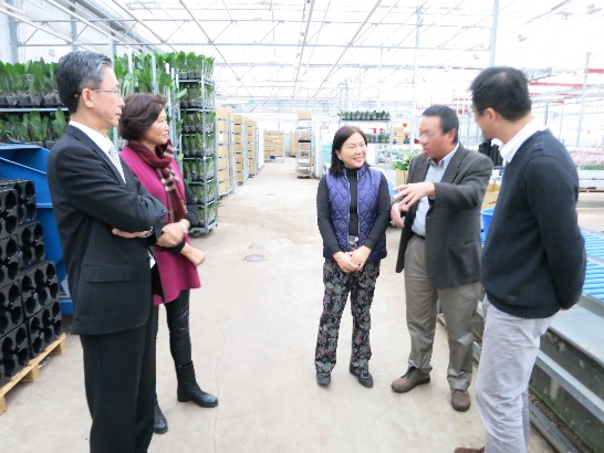 11月24日下午拜會台糖荷蘭分公司，該公司袁總經理寶珠向周大使夫婦及沈組長介紹該公司產品與市場現況。