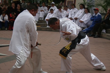 Demostracion Koushu espada