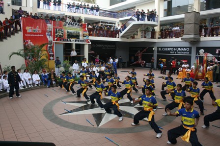 秘魯國術班於「台灣文化週」閉幕中示範拳法。