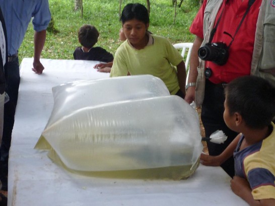 fecha de publicación:2010/10/21