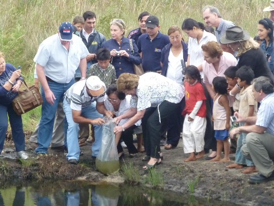 fecha de publicación:2010/10/21