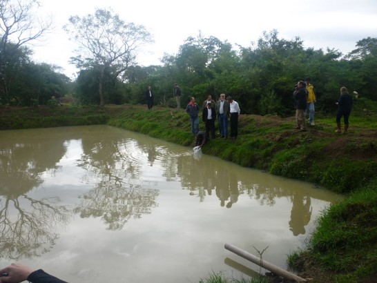 fecha de publicación:2010/4/26