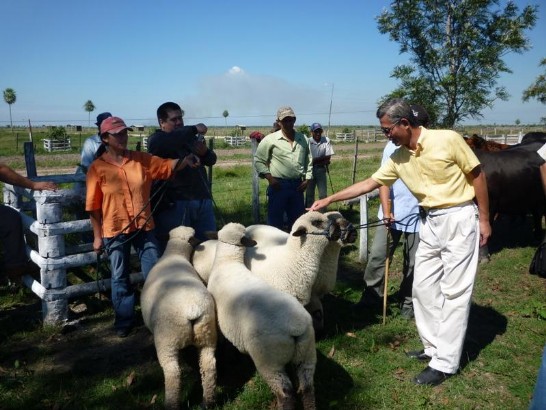 fecha de publicación:2010/5/7