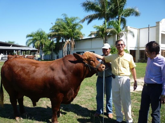 fecha de publicación:2010/5/7