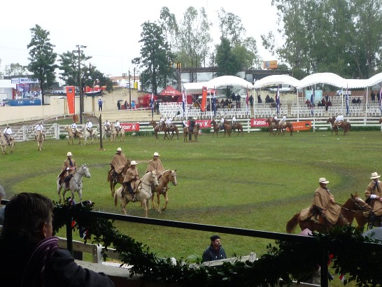 fecha de publicación:2010/7/19