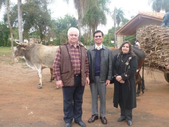 fecha de publicación:2010/9/6