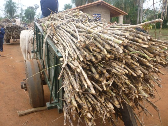 fecha de publicación:2010/9/6