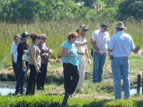 fecha de publicación:2011/4/14