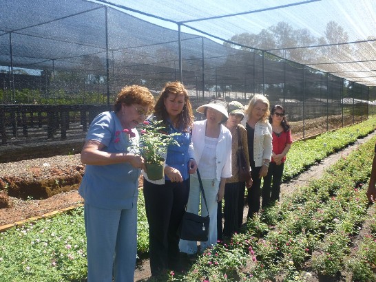 2011.04.26 Mercedes Lugo, visita el Centro de Horticultura en Caacupe