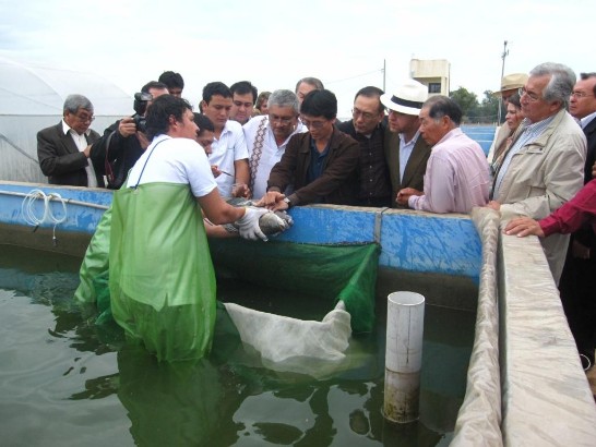 fecha de publicación:2013/9/24