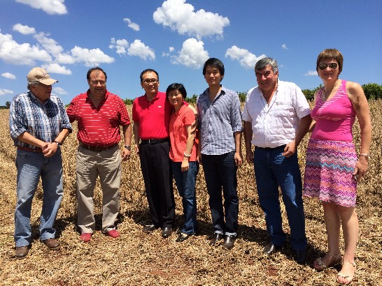 fecha de publicación:2014/2/11