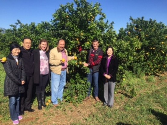 fecha de publicación:2015/9/15