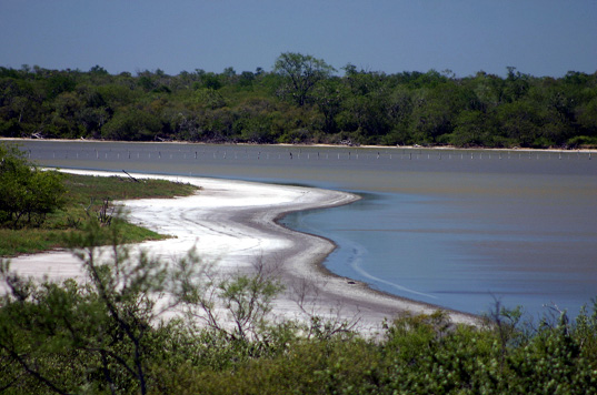 fecha de publicación:2006/11/24