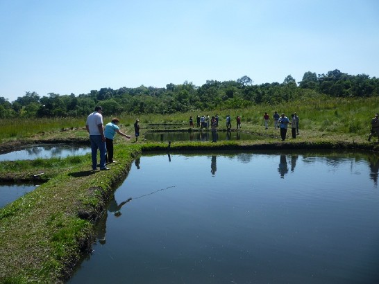 2011.04.05 協助印地安聚落挖鑿之吳郭魚池。