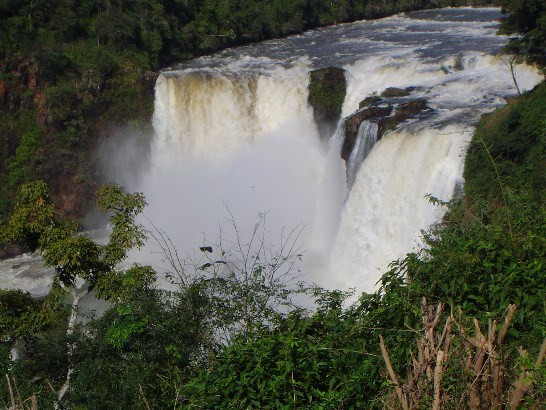 張貼日期：2009/7/17