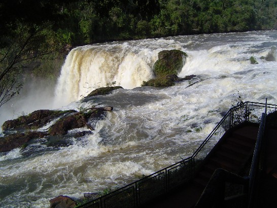 張貼日期：2009/7/17