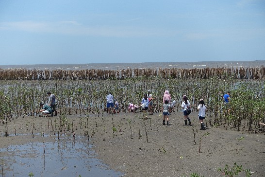 張貼日期：2015/8/25