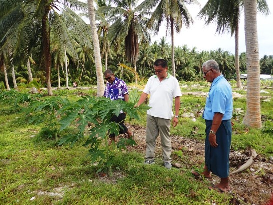 Post Date:2015/11/20