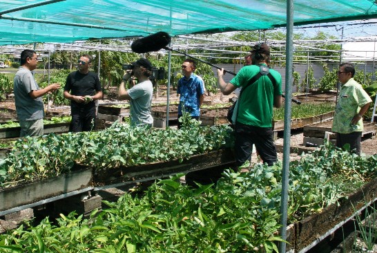 張貼日期：2016/1/22