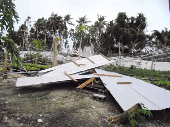 張貼日期：2015/12/30