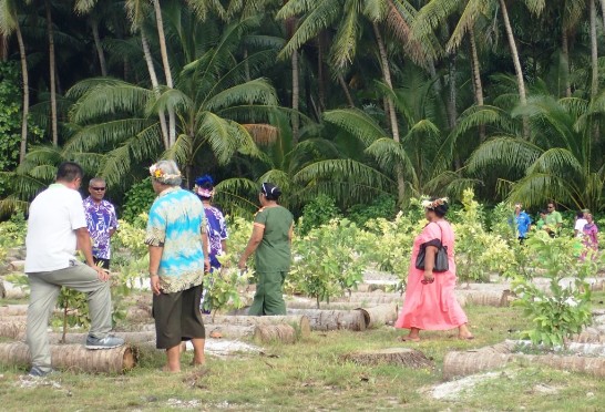 張貼日期：2015/11/20