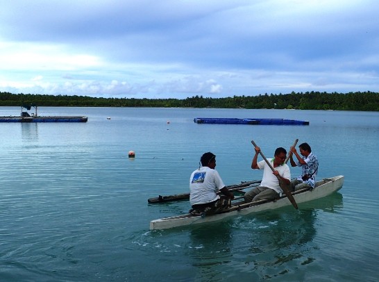 張貼日期：2015/11/20