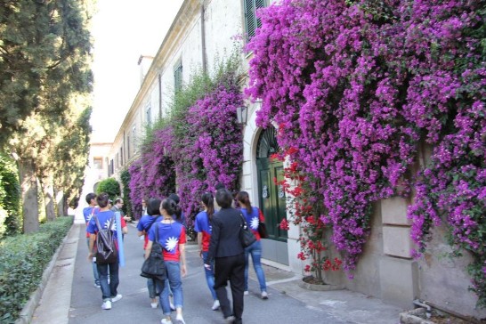 A moment of the visit of the Youth Ambassadors to the seat of the Order of Malta.