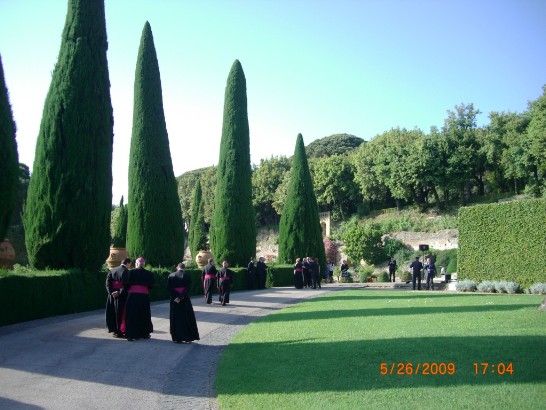 張貼日期：2009/5/29