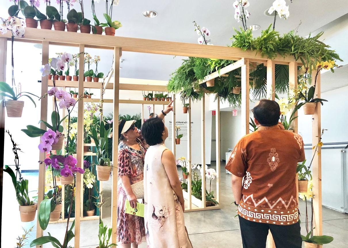 駐紐約辦事處與皇后區植物園於2019年8月9-11日合辦第六屆「臺灣的蘭花特展」，徐儷文大使於8月8日出席開幕活動。