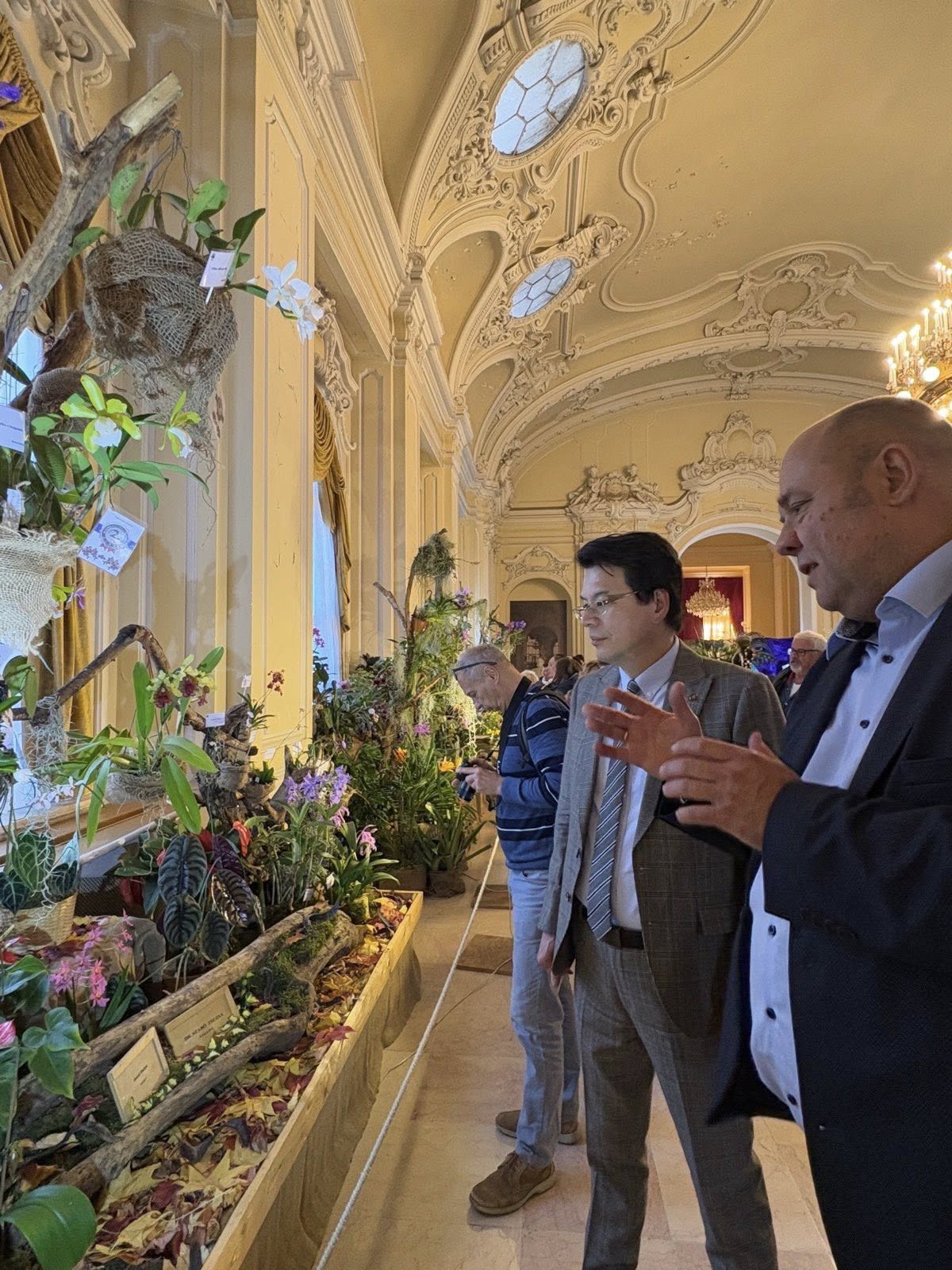 王代表受邀參加蘭花展