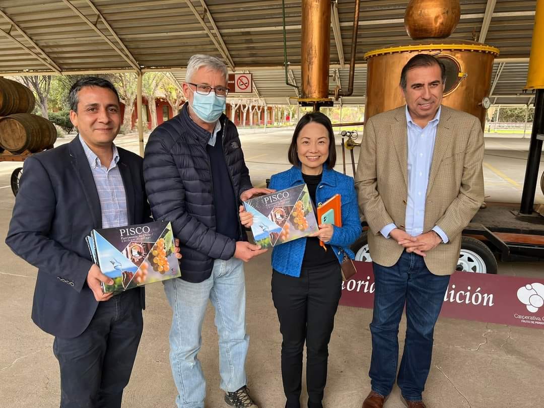 參訪CAPEL皮斯可酒廠