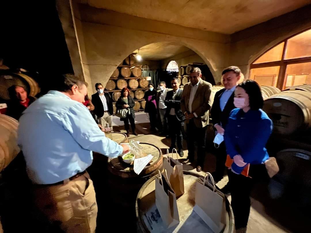 參訪CAPEL皮斯可酒廠