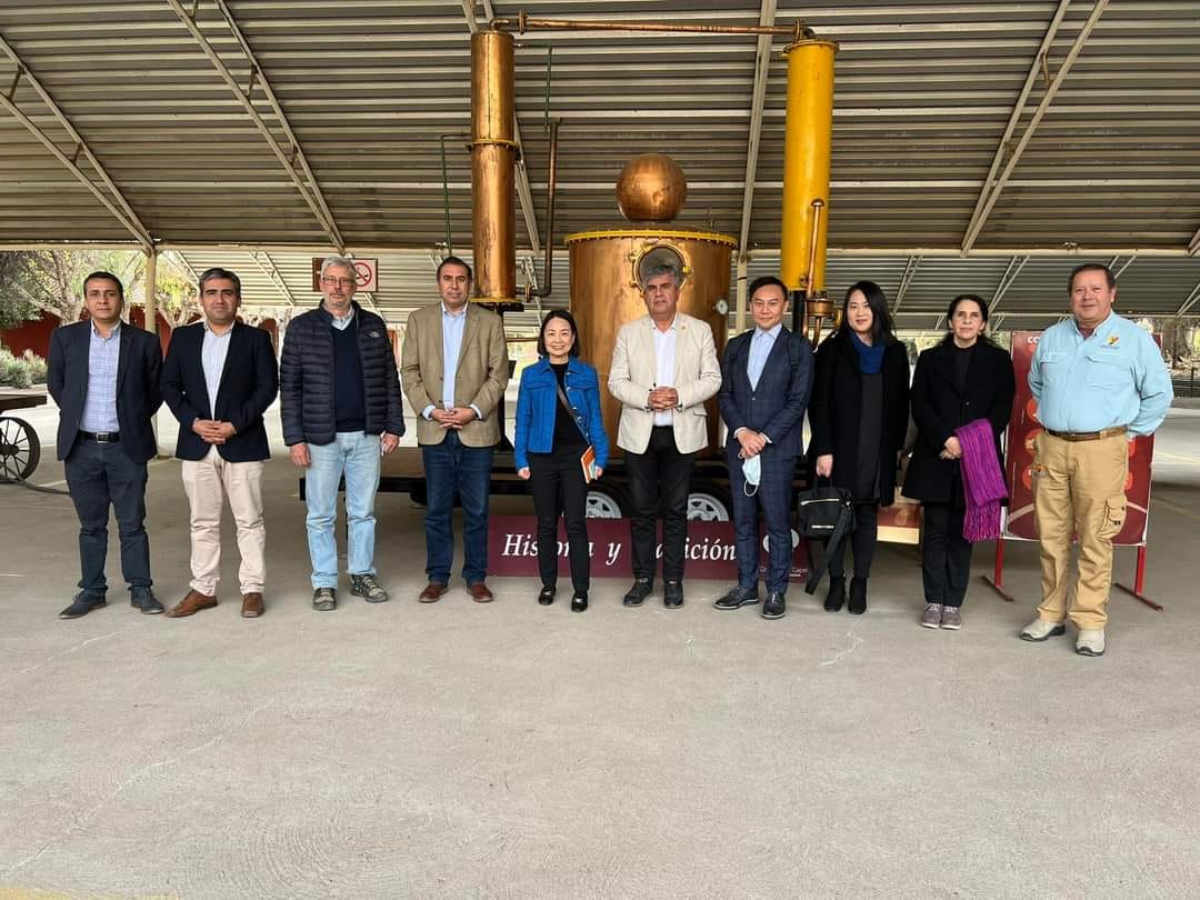 參訪CAPEL皮斯可酒廠