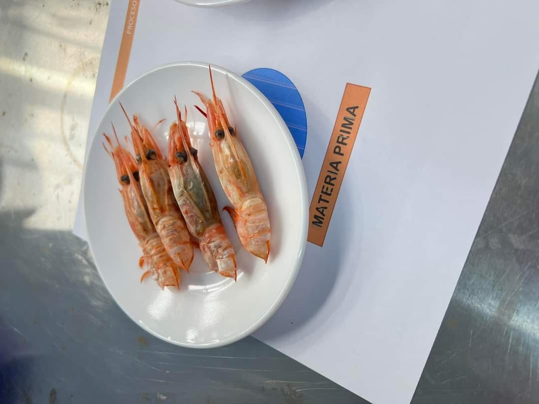 蝦殼創造循環經濟