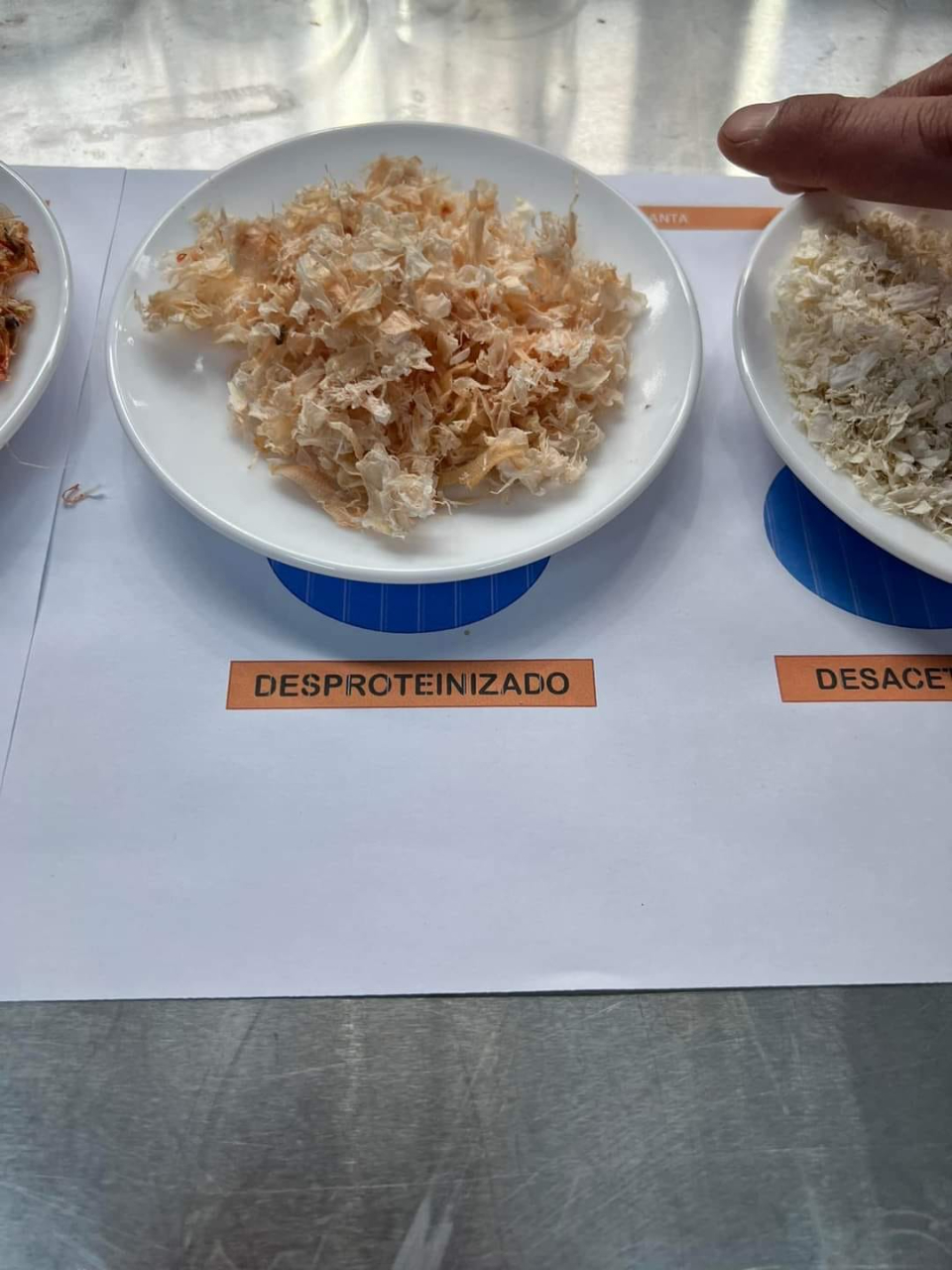 劉代表參訪智利Rymar海產公司