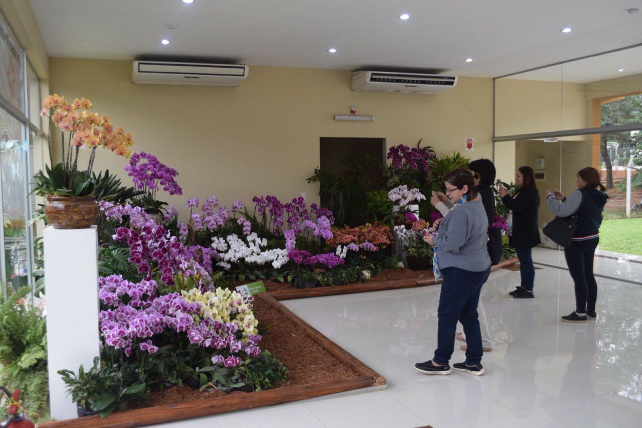 駐巴拉圭技術團「蘭花產業發展及組織培養種苗繁殖計畫」於107年7月30日舉辦蘭花展售會活動，巴國民眾參觀蘭展情形。