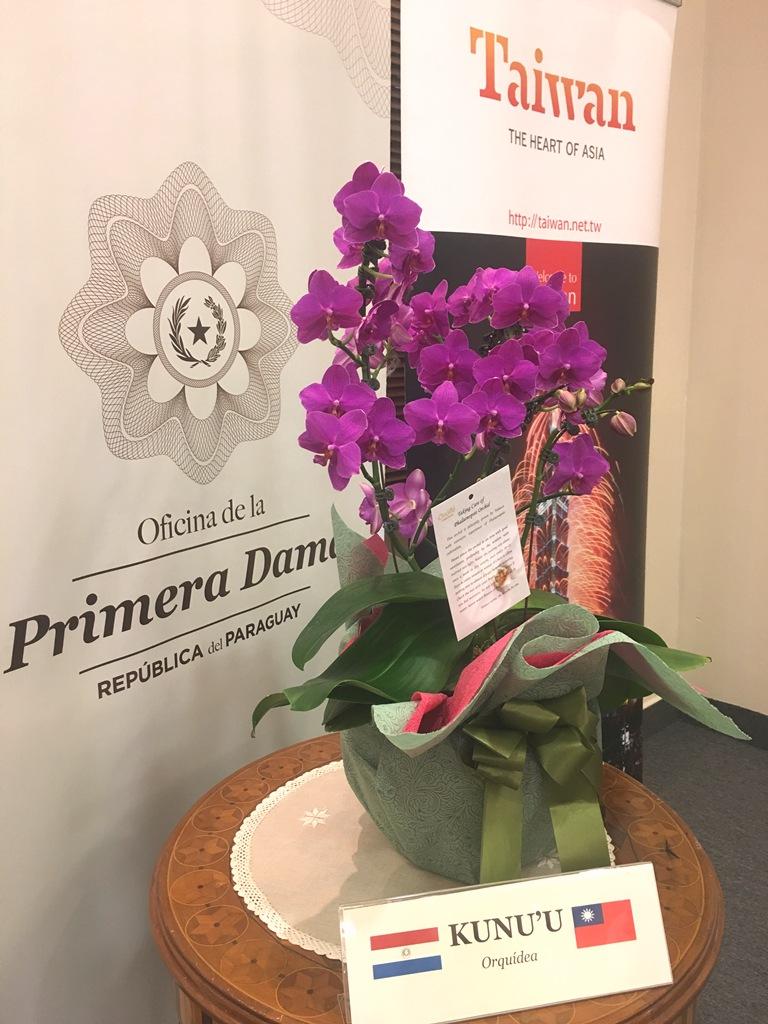 La belleza y ternura de "Kunu'u", es la única variedad de orquidea bautizada por Primera Dama Silvana Abdo.