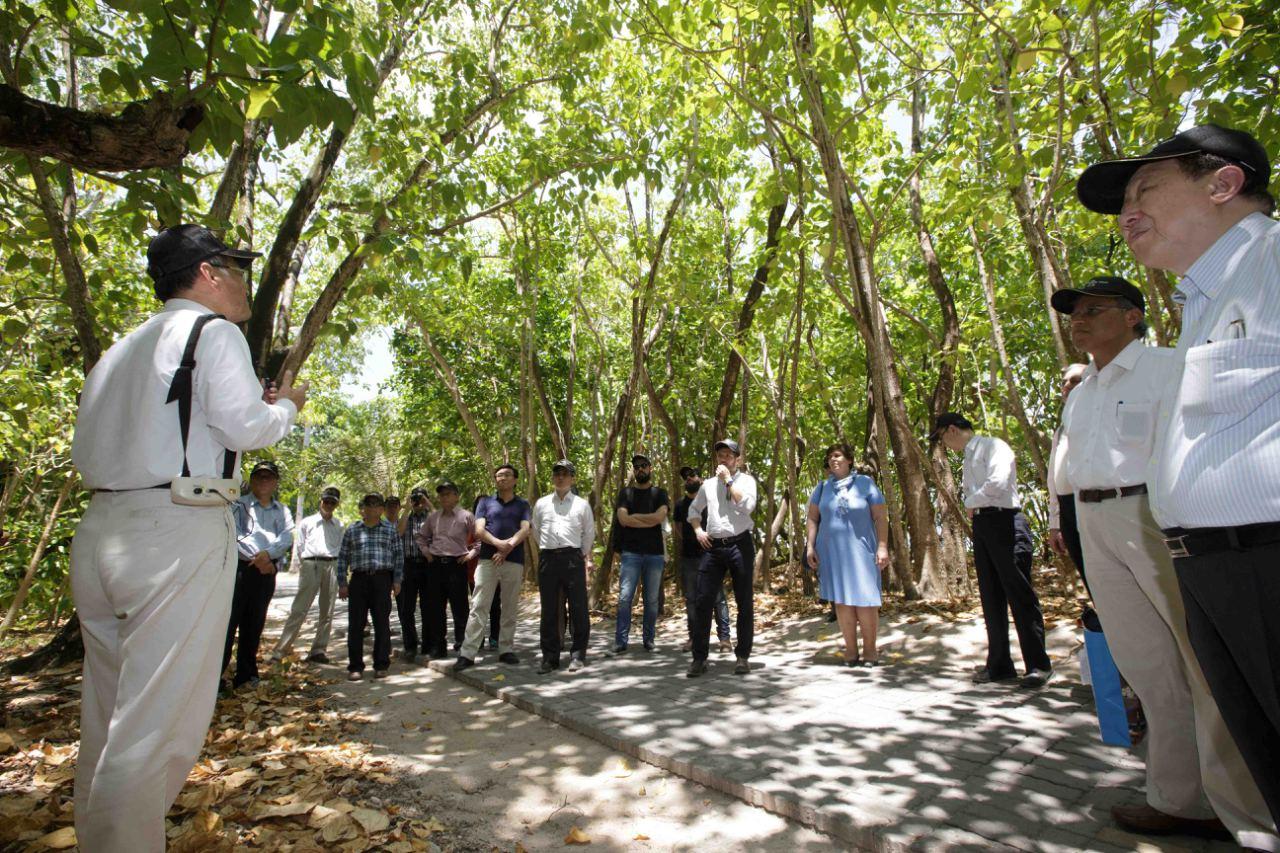 Prof. Chia-wei Li, Department of Life Science National Tsing Hua University, introduces the ferns and other plants that thrive in the primary forest.