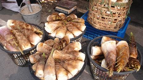 南投県竹山でタケノコを味わう 台北駐日経済文化代表処 南投県竹山でタケノコを味わう 台北駐日経済文化代表処